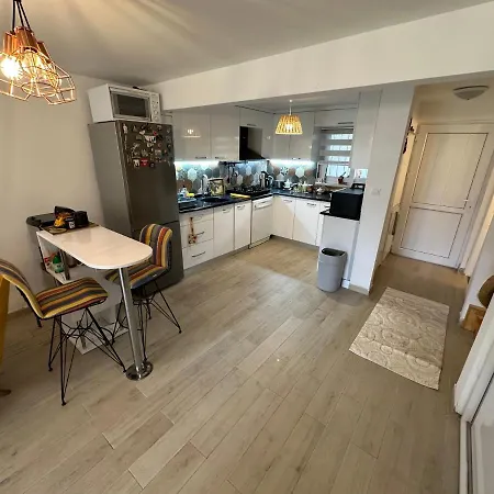 Modernized Family In Beach Site